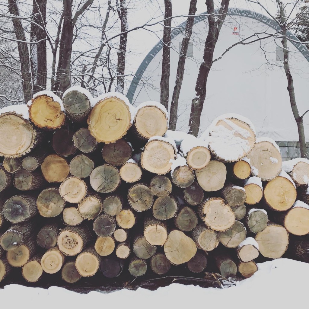 winter was (almost) too&nbsp;short?