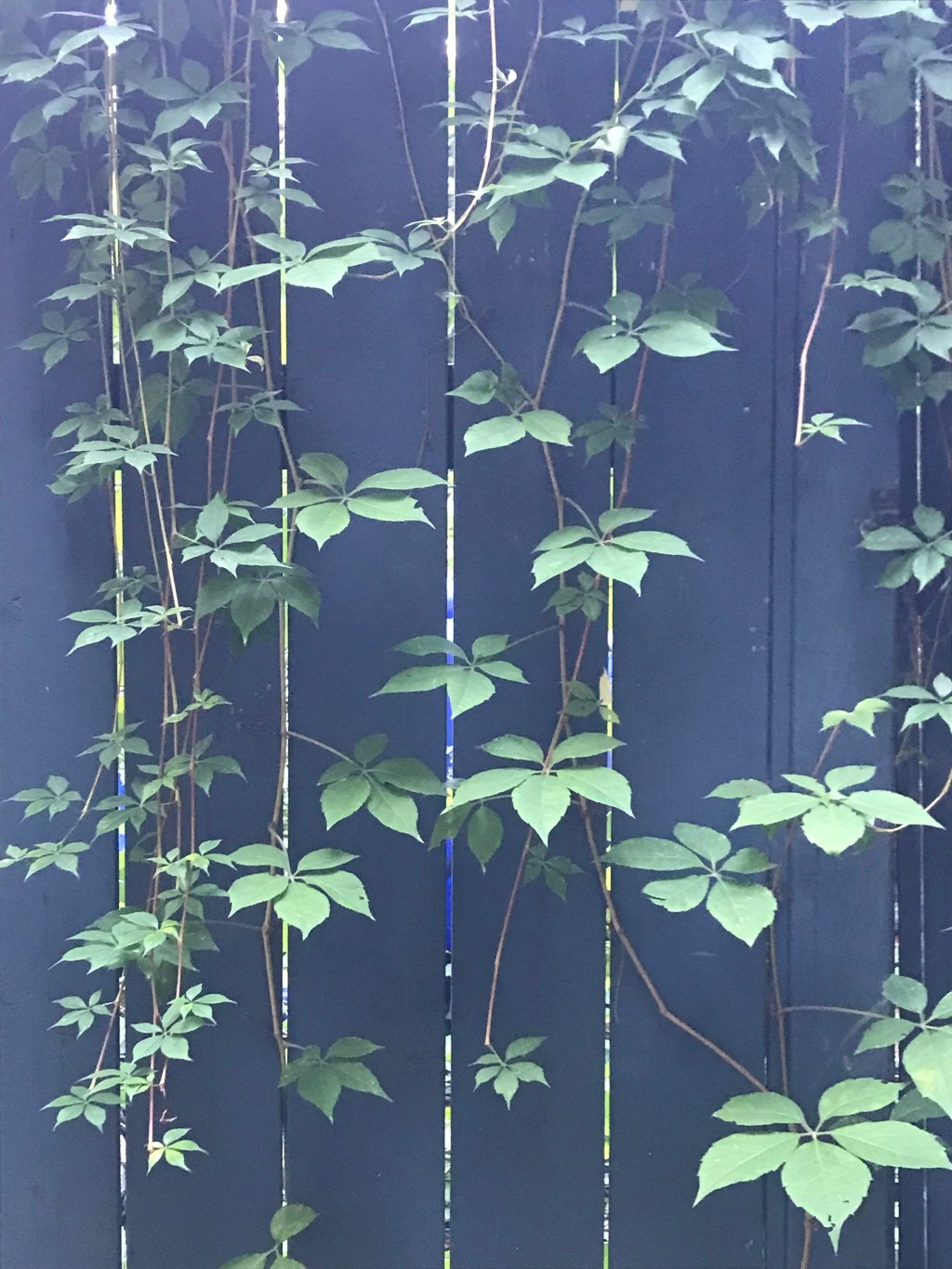 I am a (temporary) no-go&nbsp;zone