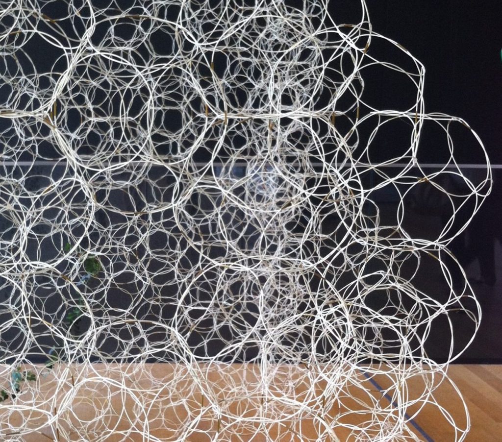 this ain’t no&nbsp;bandwagon