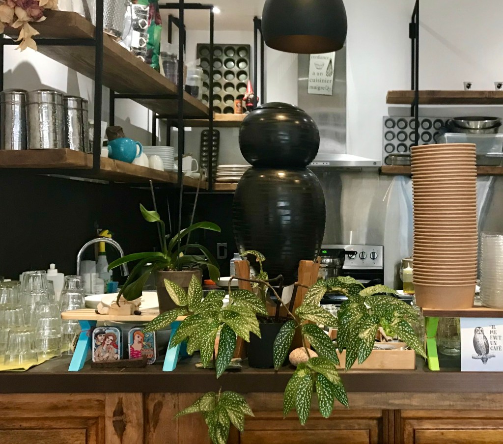 curiosity for breakfast