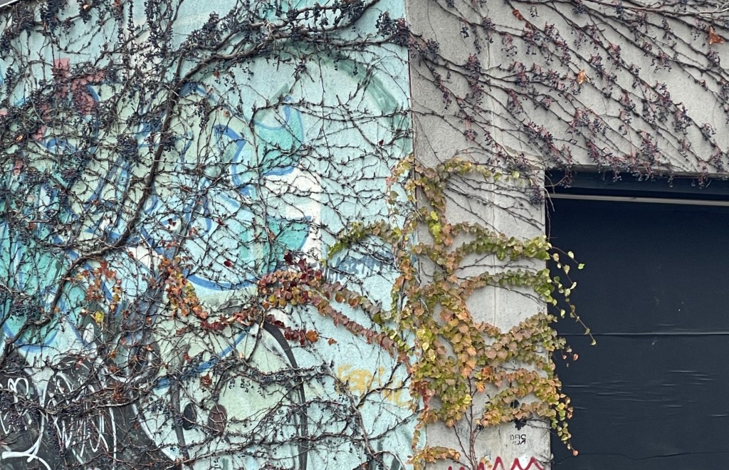 let me count the&nbsp;ways