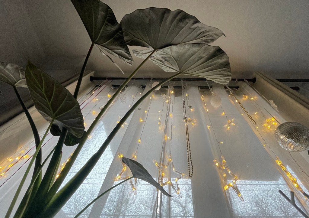 one, two, three (days of&nbsp;2025)